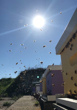 Load image into Gallery viewer, DEPOSIT for 2025 Single Hive